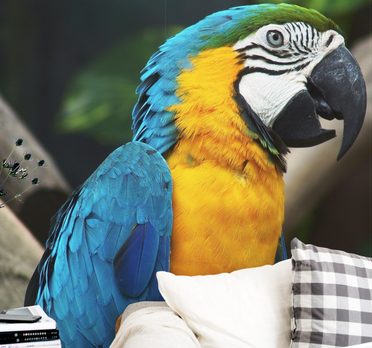 Macaw Bird Portrait animals wall mural - TenStickers
