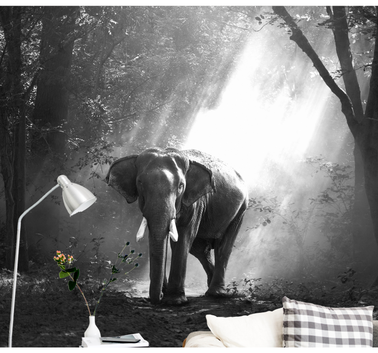 Majestic Elephant Encounter animals wall mural - TenStickers