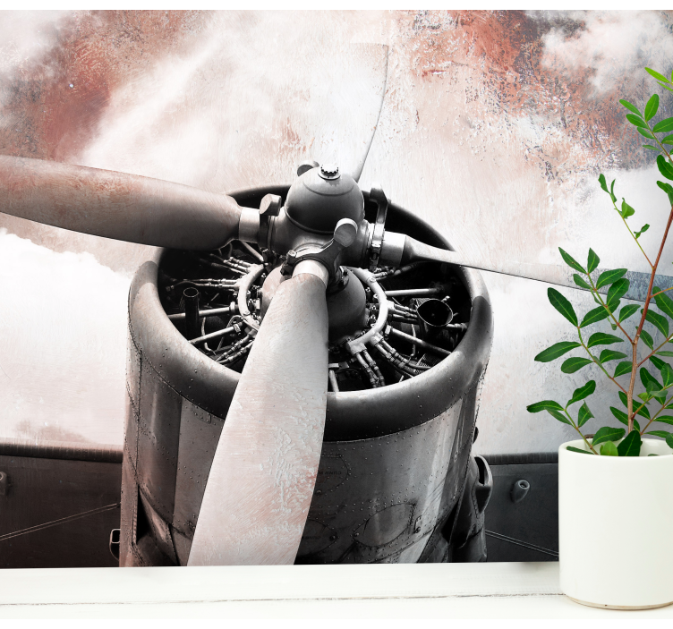 Old airplane  vintage wall mural - TenStickers
