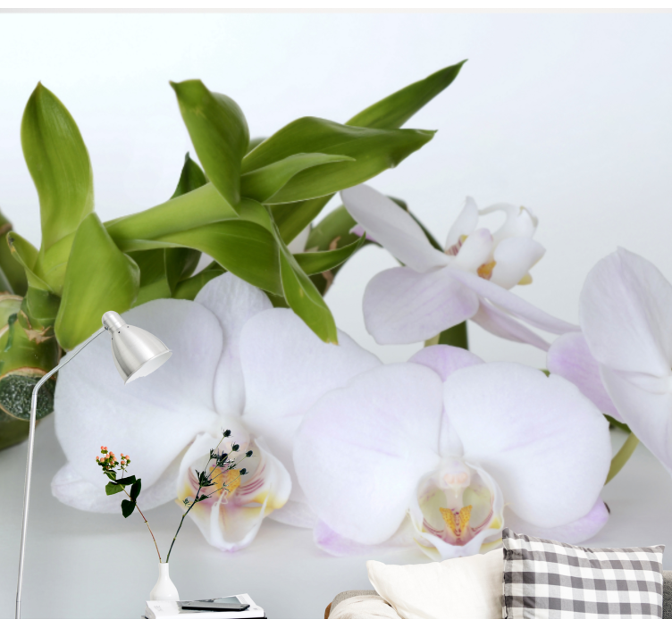 Orchid wall mural elegant orchid display - TenStickers