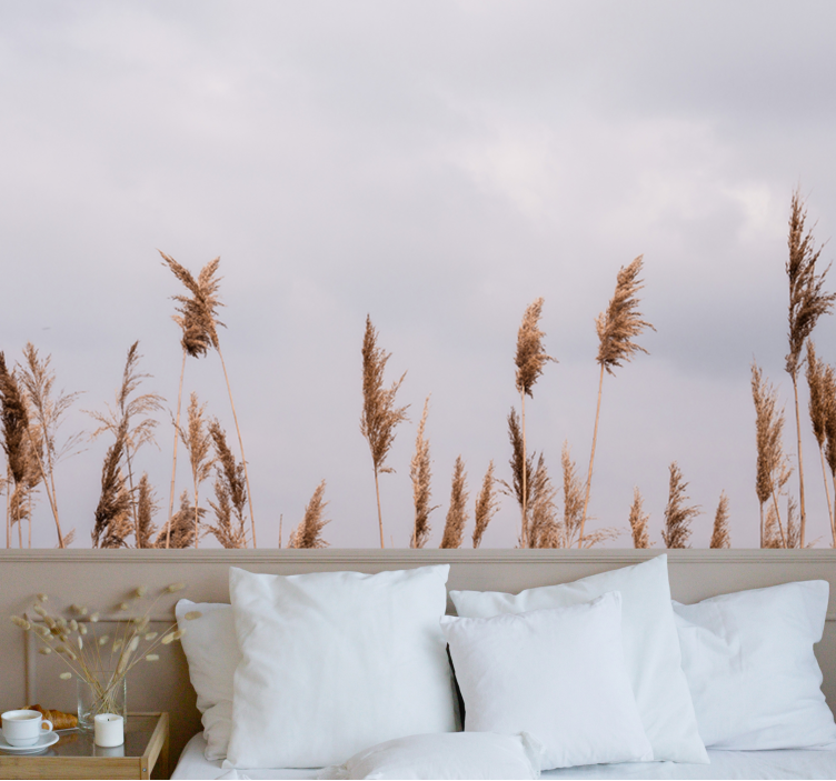 Pampass grass foggy view nature wall mural - TenStickers