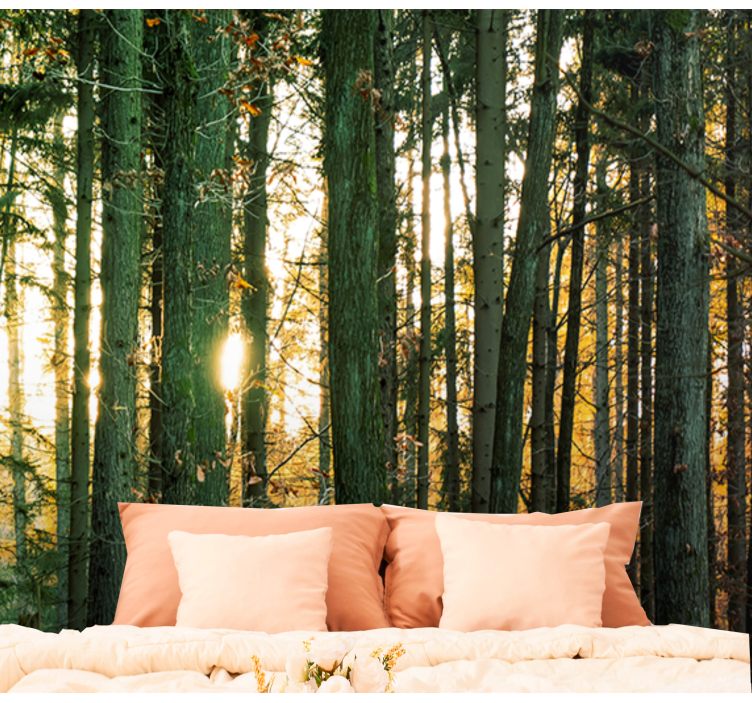 Polish forest with trees nature wall mural - TenStickers