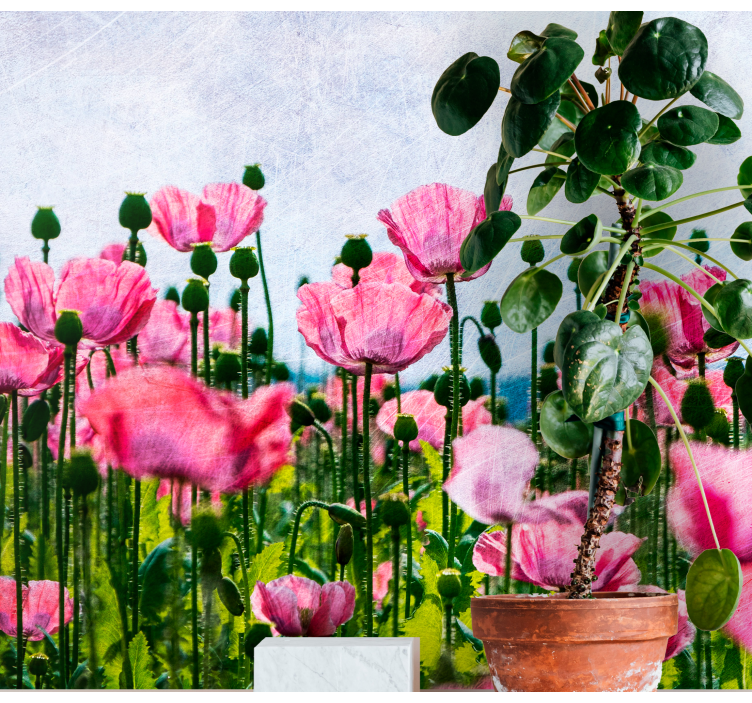 Poppies Bloom Panorama flower wall mural - TenStickers