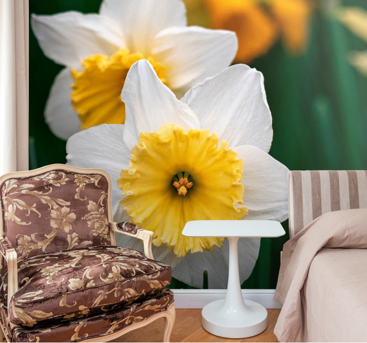 Poppy wall mural daffodil blooming grace - TenStickers
