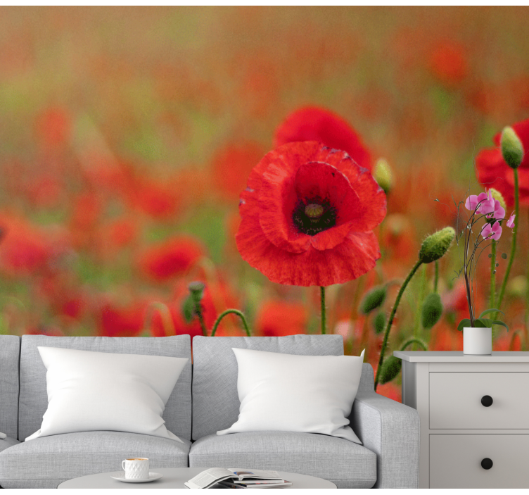 Poppy wall mural lively poppy blossoms - TenStickers