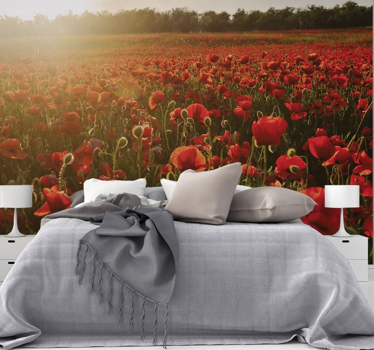 Red poppies sunset nature wall mural - TenStickers