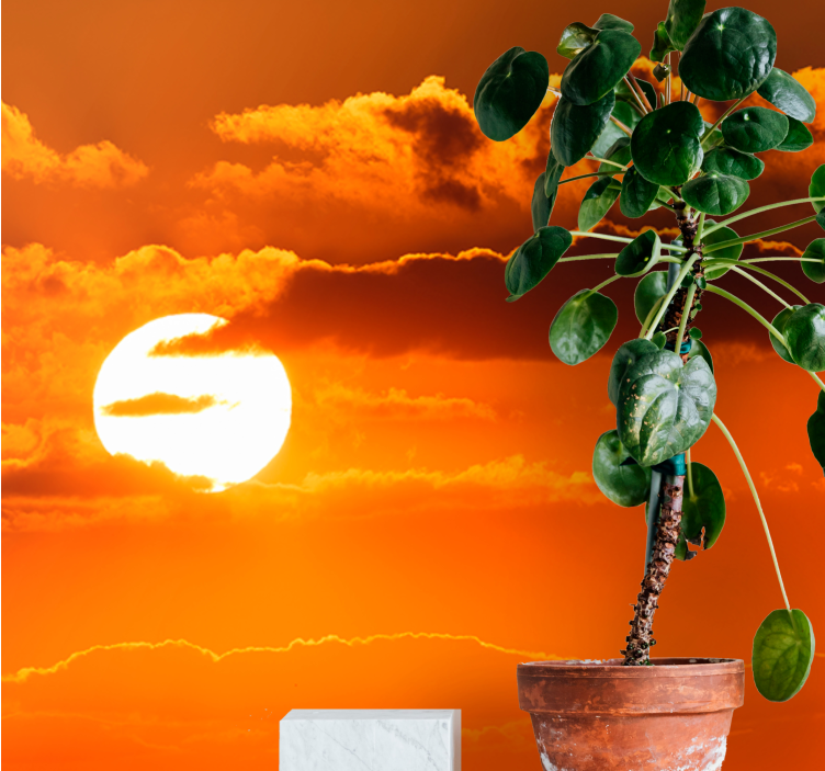 Sky wall mural sunset over clouds - TenStickers