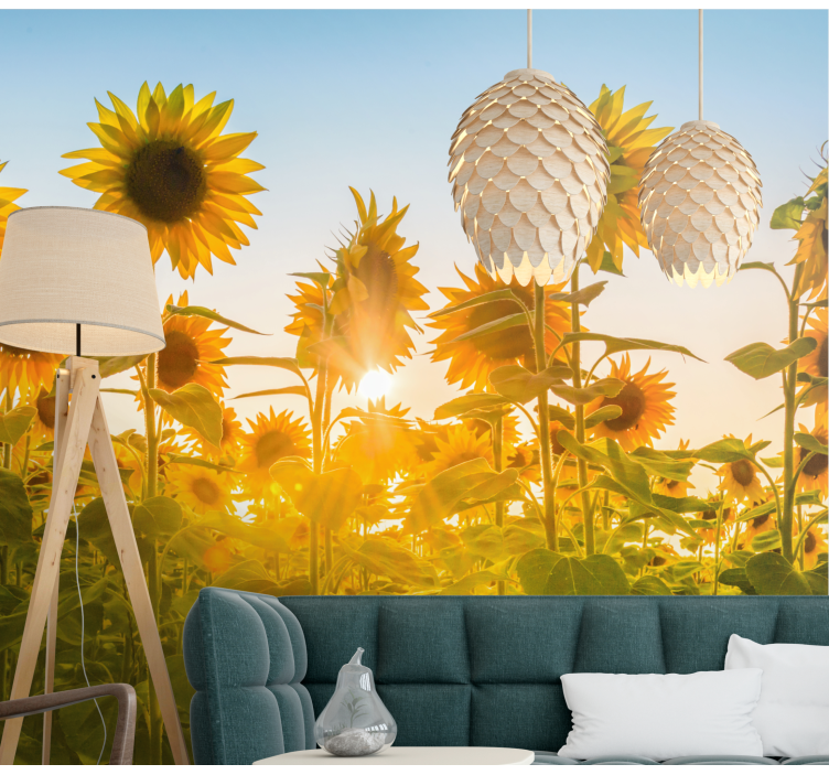 Sunflowers field in sunrise wall mural - TenStickers