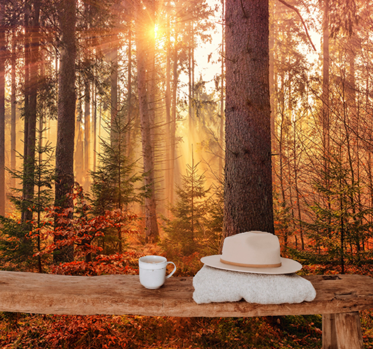 Sunlit forest glow forest wall mural - TenStickers