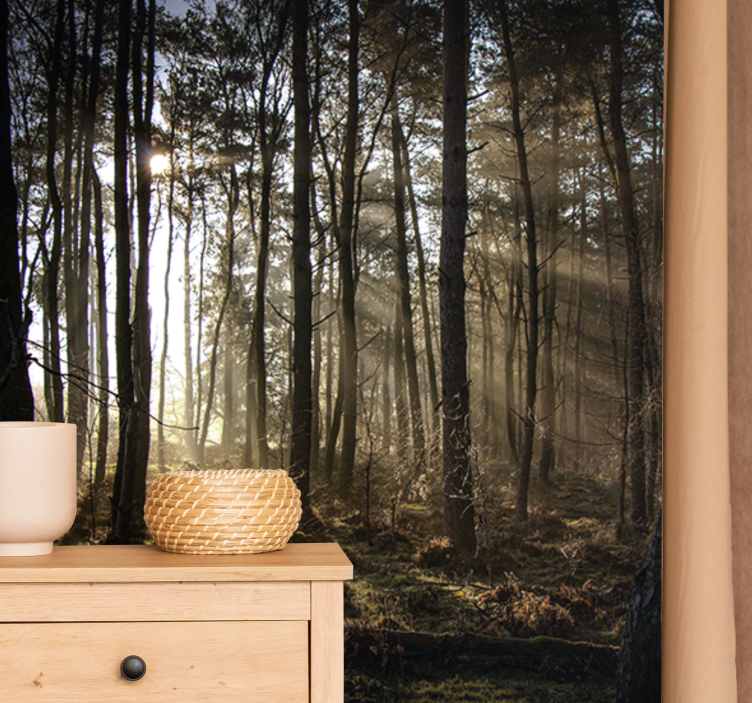Sunrise in the Forest nature wall mural - TenStickers