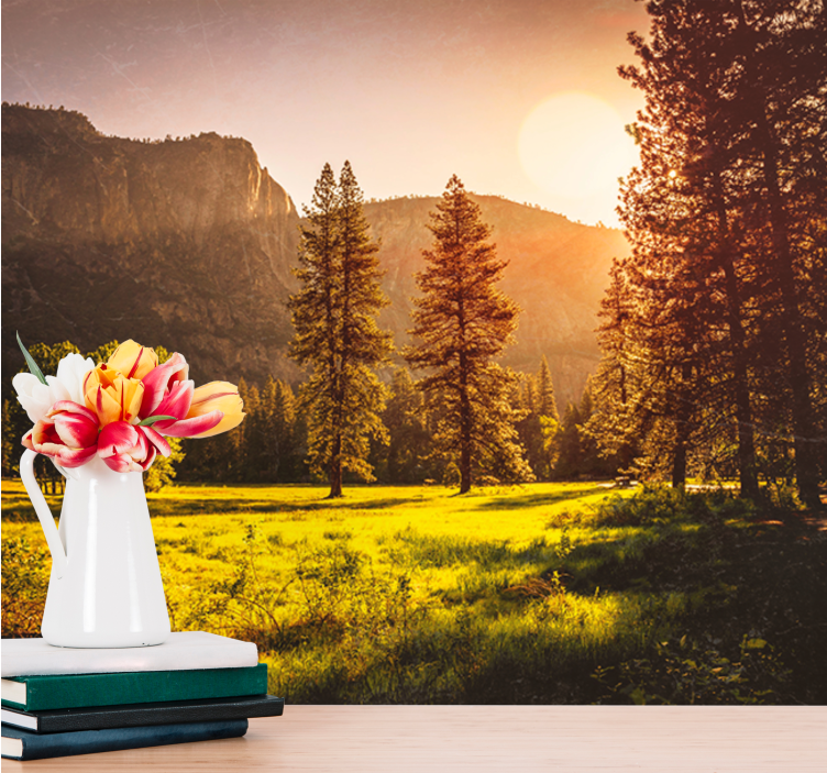 Sunset behind the trees Forest Wall Mural - TenStickers