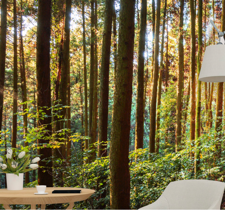 Tall tree trunks Forest Wall Mural - TenStickers