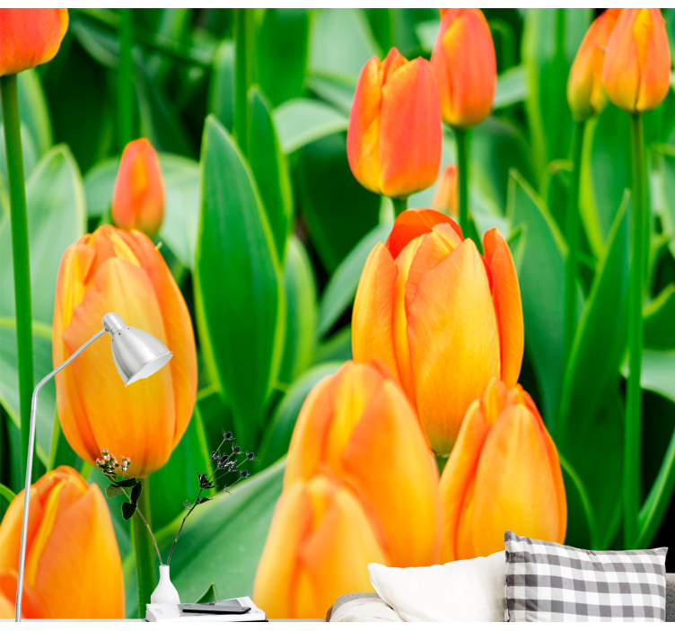 Tulips wall mural tulip blooms in abundance - TenStickers