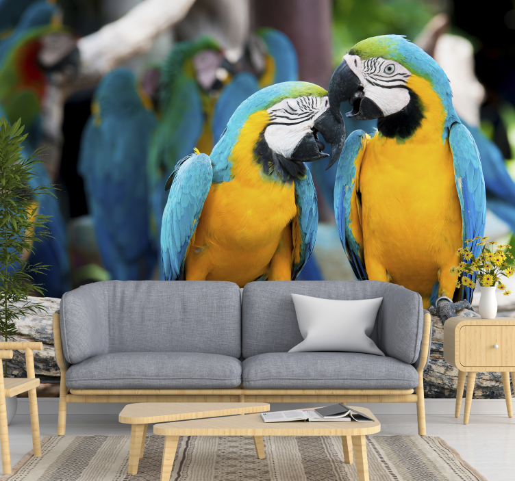 Two loving parrots wall mural - TenStickers