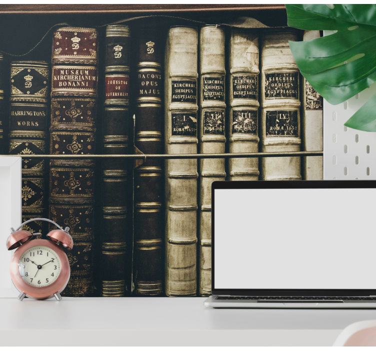 Vintage bookcase wall mural - TenStickers