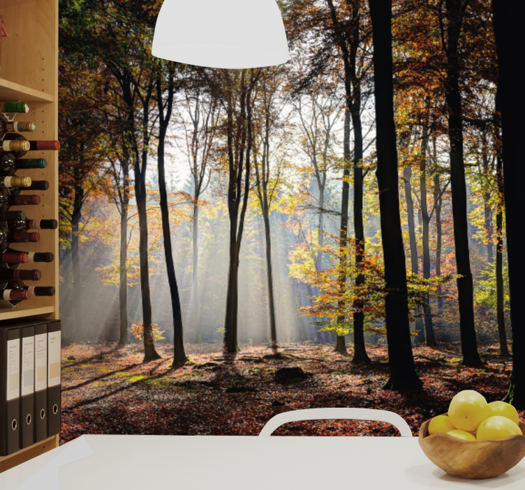 Wall mural nature autumn forest light - TenStickers