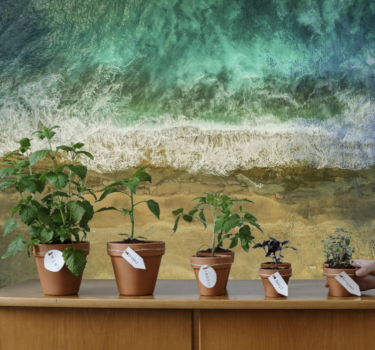 Wall mural nature coastal plant arrangement - TenStickers