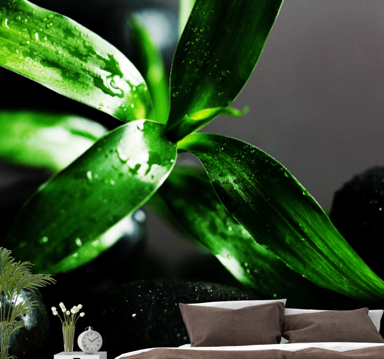 Wall mural nature fresh leaves pattern - TenStickers