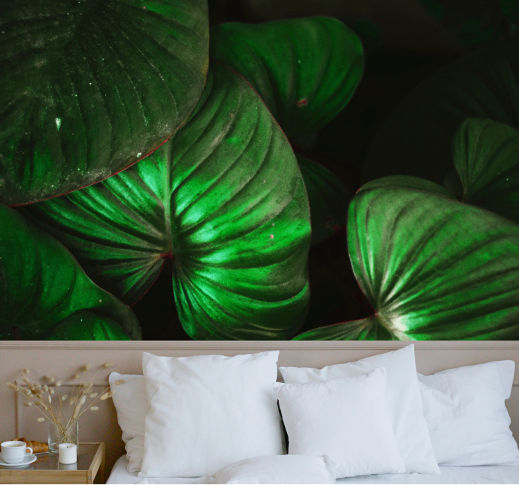 Wall mural nature lively green leaves - TenStickers