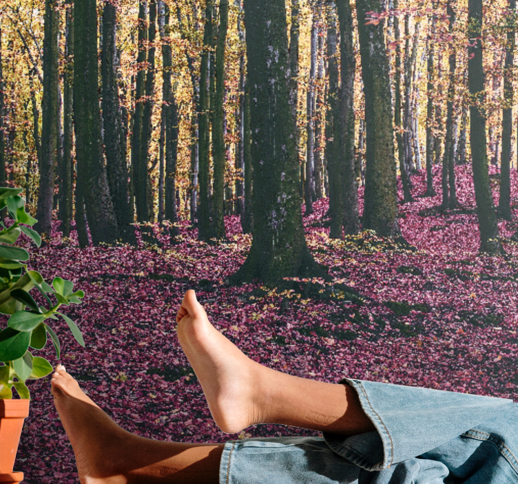 Wall mural nature serene forest scene - TenStickers