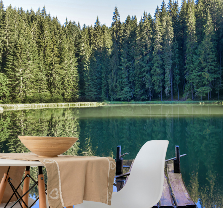 Wall mural nature serene woodland reflection - TenStickers