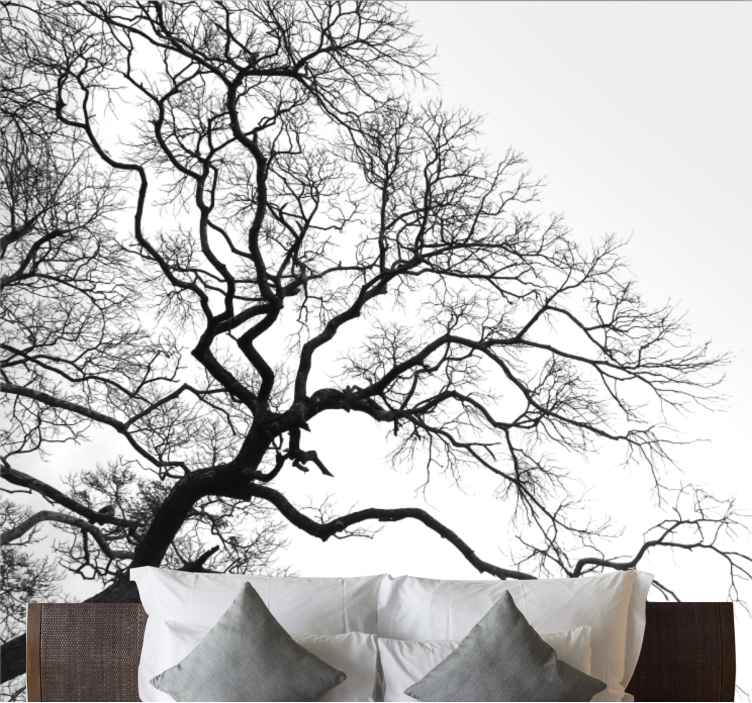 Wall mural trees leafless branches silhouette - TenStickers