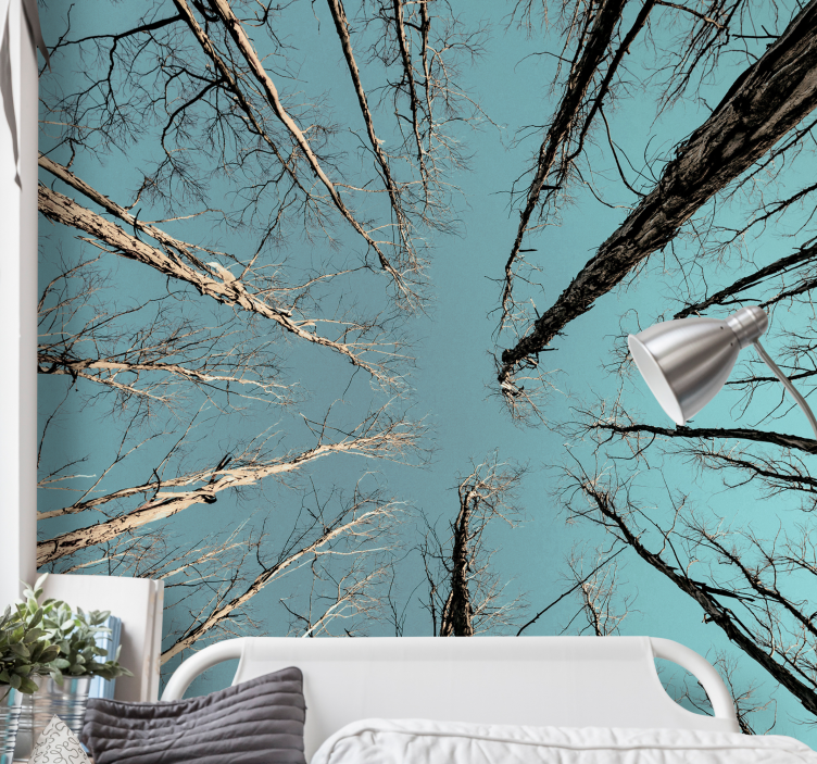 Wall mural trees reaching for the sky - TenStickers