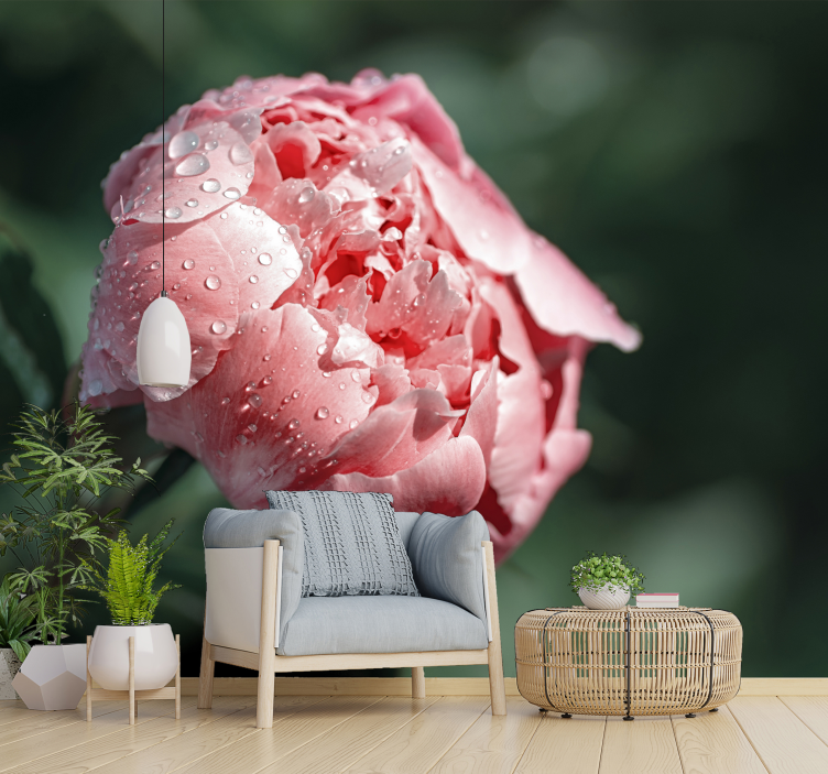 Wet Peoni flower wall mural - TenStickers