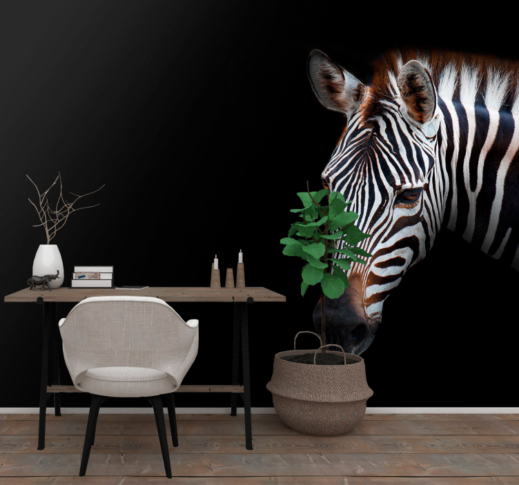 Zebra Picture animal wall mural - TenStickers