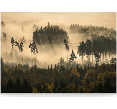 Forest wall mural ethereal morning mist - TenStickers