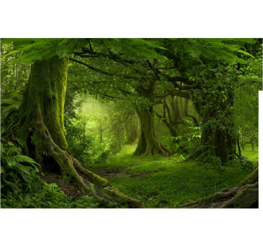 Forest wall mural lush woodland getaway - TenStickers