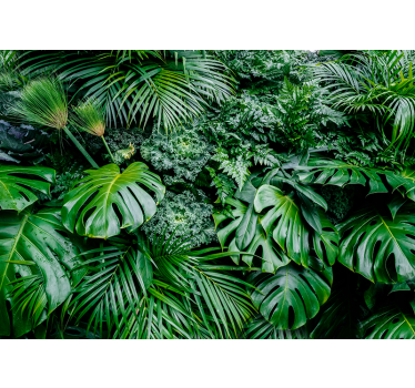 Jungle Plant Forest Wall Mural - TenStickers