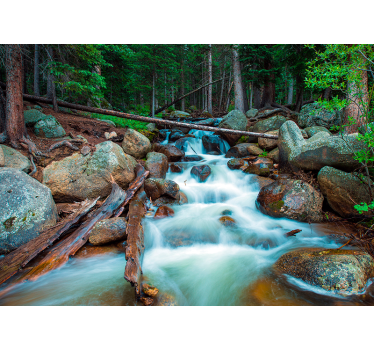 Wonder of nature waterfall wall mural - TenStickers