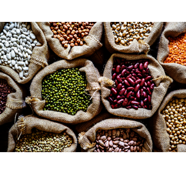 Different pulses pattern wall mural - TenStickers