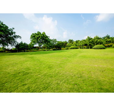 Green Meadow landscape wall mural - TenStickers