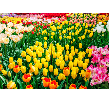Tulips flower wall mural - TenStickers