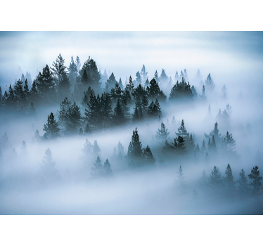 Morning fog forest  wall mural - TenStickers