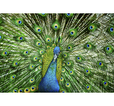 Peacock mural wallpaper - TenStickers