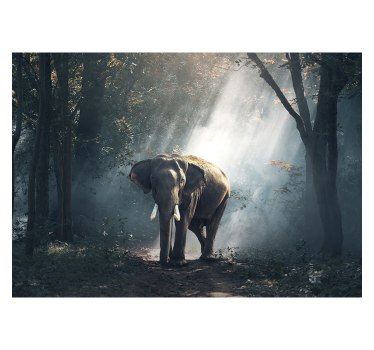 Elephant in forest mural wallpaper - TenStickers