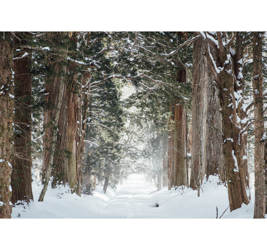 Winter forest trees mural - TenStickers