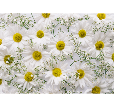 Daisy flower mural wallpaper - TenStickers