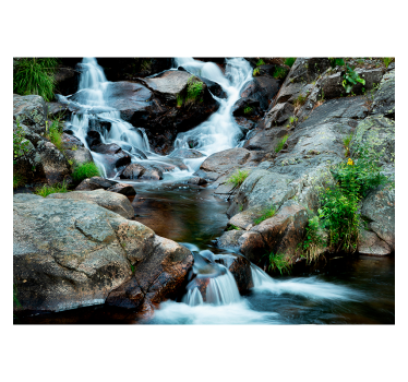 Gentle stream wall mural - TenStickers