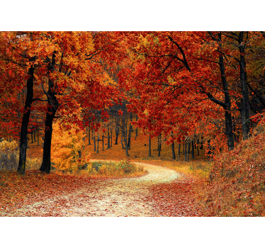 Autumn Forest Wall Mural - TenStickers