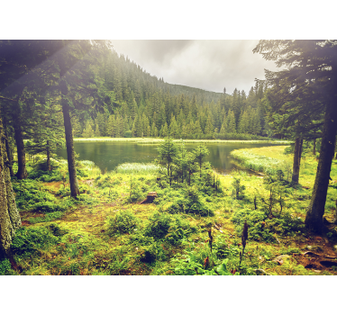 Fotomurale foresta con alberi verdi - TenStickers
