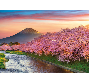 Cherry Blossom Forest nature murals - TenStickers