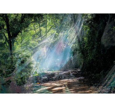 3D depth effect forest nature murals - TenStickers