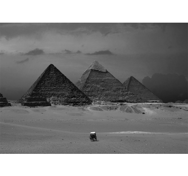 City wall mural pyramids of giza - TenStickers