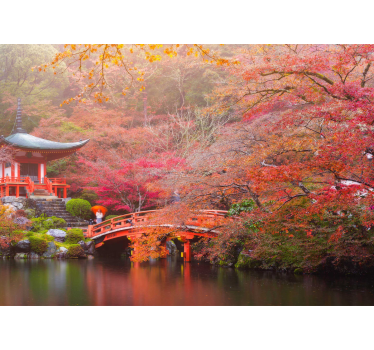Asian garden in Autumn nature photo murals - TenStickers