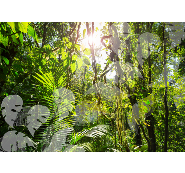 Green Amazone forest mural wallpaper - TenStickers