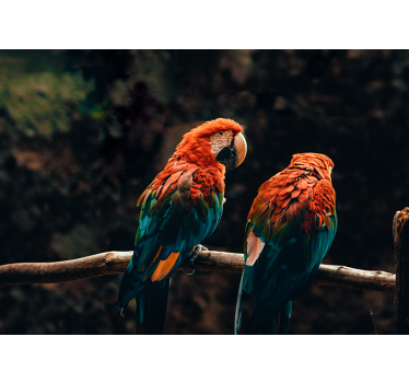 Colorful parrots mural wallpaper - TenStickers